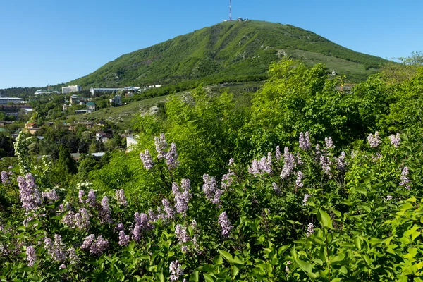 Widok na majestatyczne góry Mashuk od Pyatigorsk — Zdjęcie stockowe