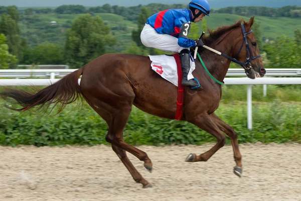 Horse racing — Stock Photo, Image