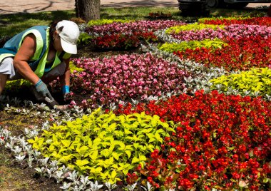 Bahçenizi döşeme üzerinde çalışır.