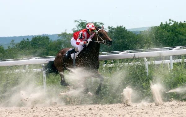 Horse racing — Stock Photo, Image