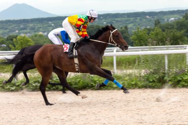 Pyatigorsk 'ta at yarışı.