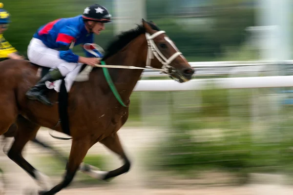 Paardenrennen. — Stockfoto