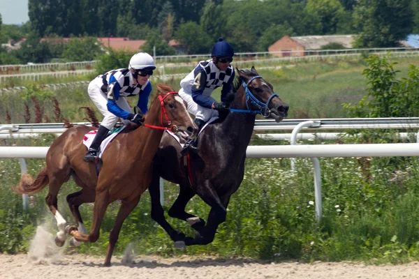 Corrida de cavalos . — Fotografia de Stock