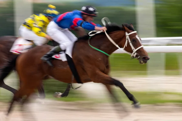 Corrida de cavalos . — Fotografia de Stock