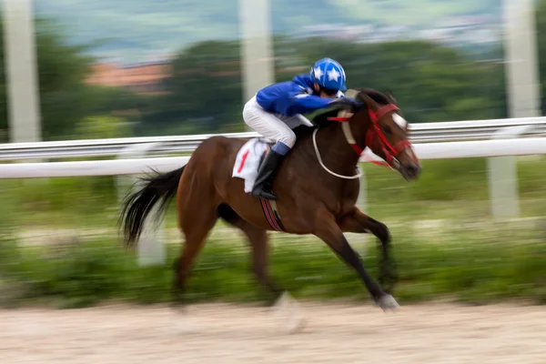 Carreras de caballos . — Foto de Stock