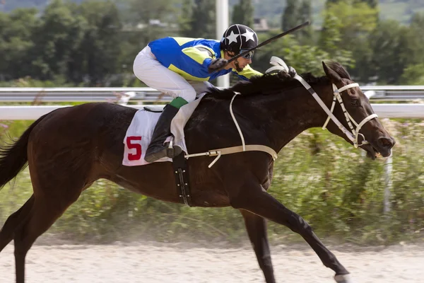 Corrida de cavalos — Fotografia de Stock