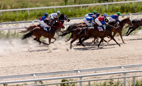 Paard racen in Pyatigorsk stad — Stockfoto