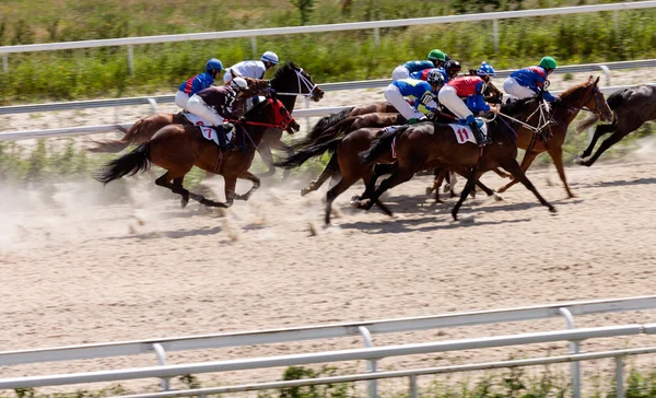 Cavalo de corrida na cidade de Pyatigorsk Fotos De Bancos De Imagens
