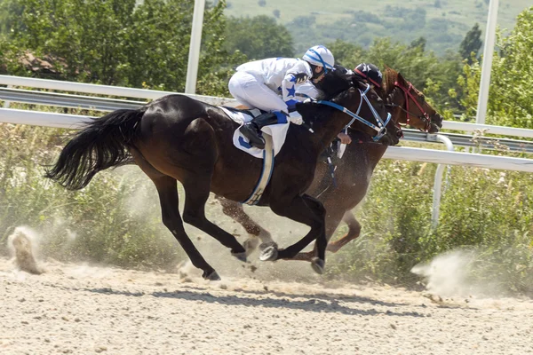 Corrida de cavalos . — Fotografia de Stock