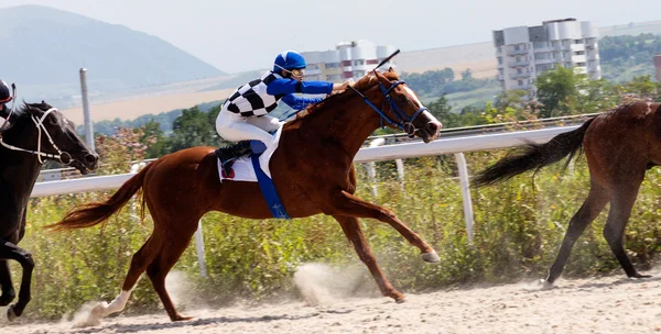 Corrida de cavalos — Fotografia de Stock