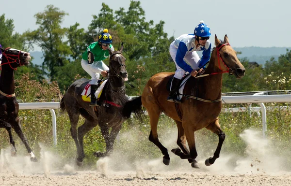 Corrida de cavalos em Pyatigorsk Fotografia De Stock