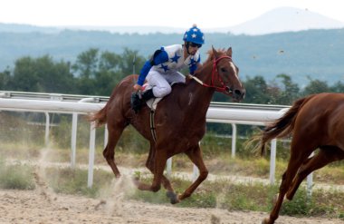 at yarışı.