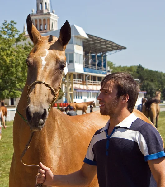 El ganador . —  Fotos de Stock