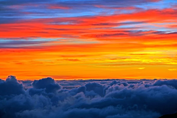 Tropischer Sonnenaufgang — Stockfoto