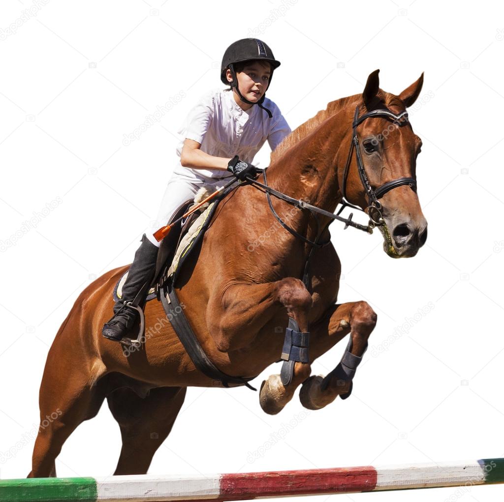 Girl on  horse