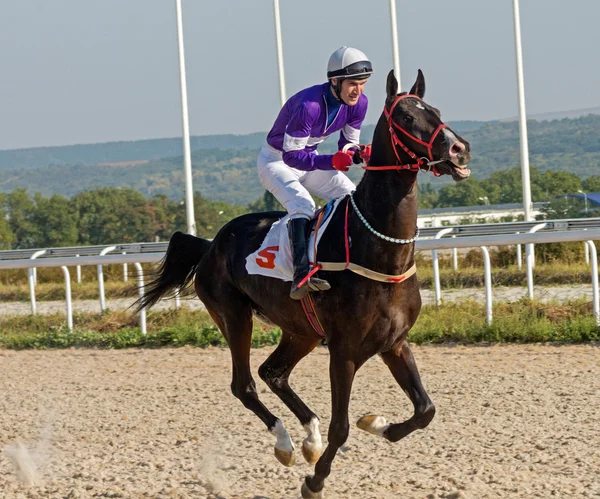 El ganador . — Foto de Stock