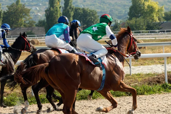 Pferderennen, Pjatigorsk — Stockfoto