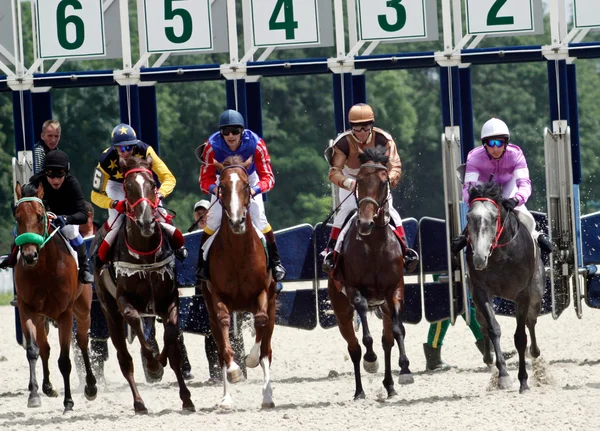 競馬、ピャチゴルスク — ストック写真