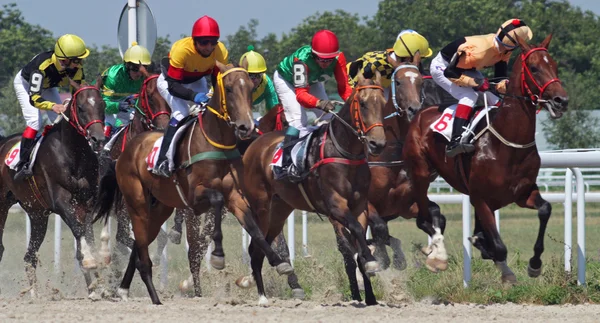 Hästkapplöpning, Pyatigorsk — Stockfoto