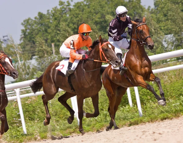 Horse racing in Pyatigorsk. Royalty Free Stock Photos