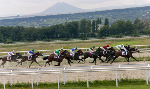 Horse racing,Pyatigorsk — Stock Photo, Image