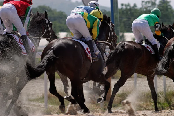 Koňské dostihy v Pyatigorsku. — Stock fotografie