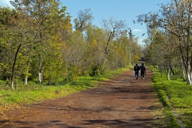 Erivan'da sonbahar park
