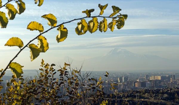 Berg Ararat, Armenia. — Stockfoto