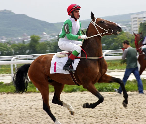Jockey auf dem Pferd — Stockfoto