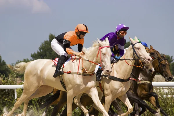 Horse racing in Pyatigorsk. Stock Image