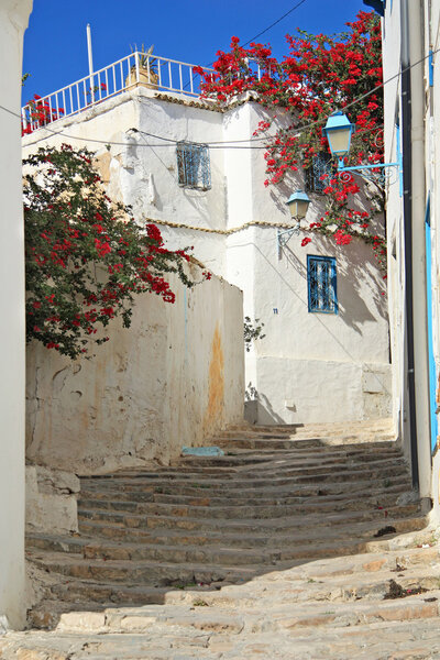  Old city street  of Sidi Bou Said