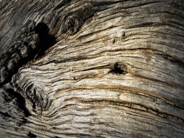 Karanlık bir delikle etkileyici ahşap doku. Soyut doğa arkaplanı.