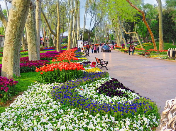 ISTANBUL, TURKEY - CIRCA APRIL 2014: Blooming Alley Gulhane Pa
