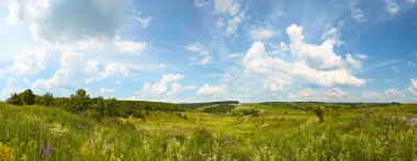 tepelik kırsal panoramik manzara. Yaz, Ukrayna.
