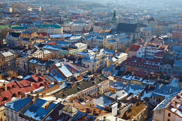 LVIV, UKRAINA - CIRCA DEZEMBRO 2013: Vista de inverno da cidade — Fotografia de Stock