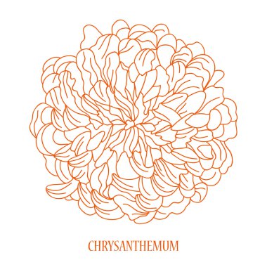 el çizilmiş çiçek kroki