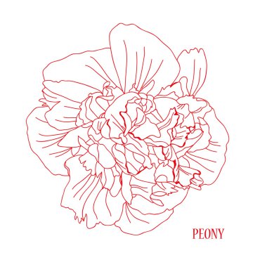 el çizilmiş çiçek kroki