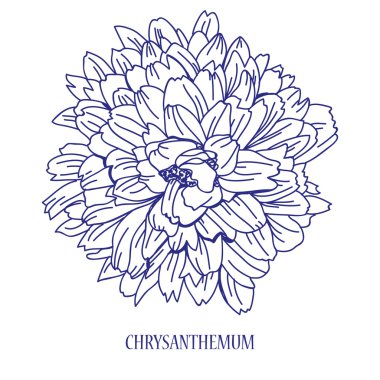 el çizilmiş çiçek kroki