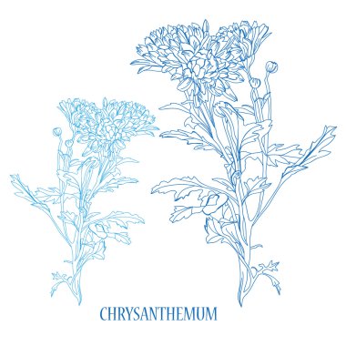 el çizilmiş çiçek kroki