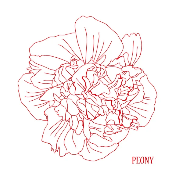 el çizilmiş çiçek kroki