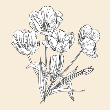 el çizilmiş dekoratif laleler