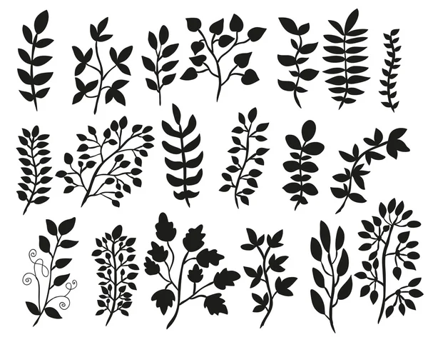 Hand drawn floral elements set — Stock Vector