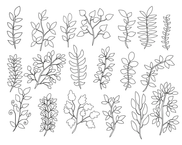 Set di elementi floreali disegnati a mano — Vettoriale Stock