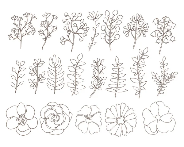 Elementos florales dibujados a mano — Vector de stock