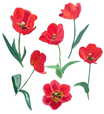 Dekoratif çiçek seti