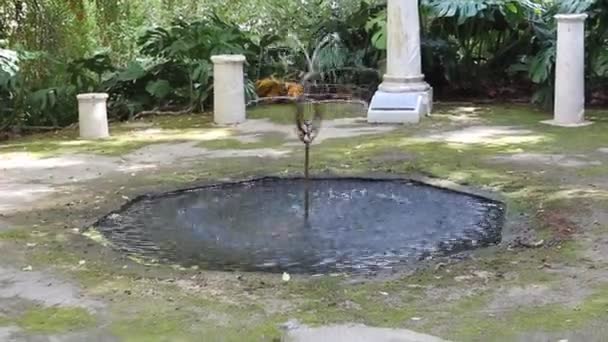 Маленький оригінальний фонтан в міському саду — стокове відео