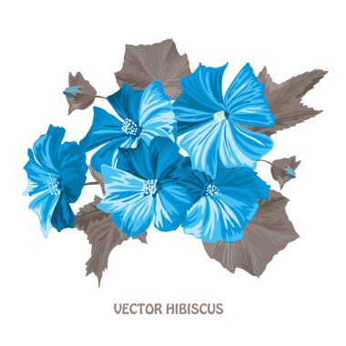 Dekoratif hibiscus çiçek