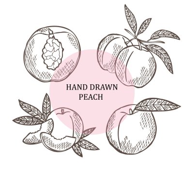 Elle çizilmiş Şeftali meyve