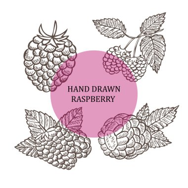 ahududu meyve el çekilmiş