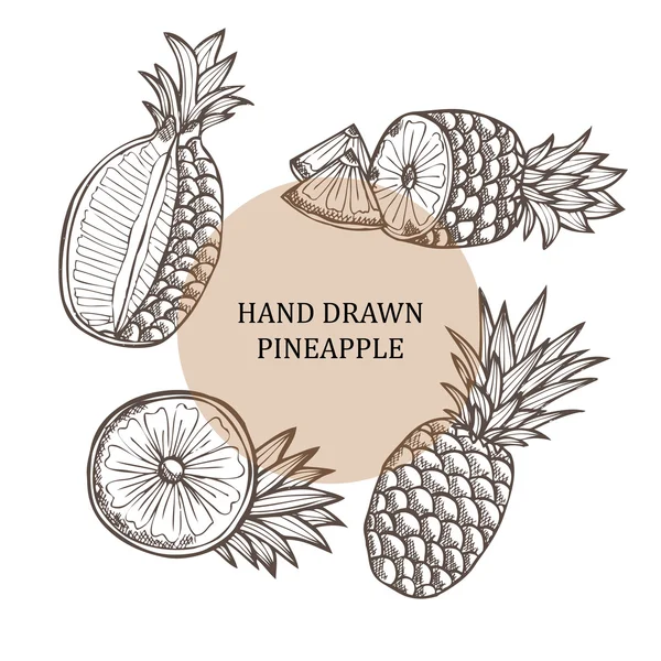 Hand drawn pineapple fruits — Stock Vector